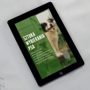 Sztuka wybierania psa – praktyczne wskazówki dotyczące wyboru, zakupu i pierwszych kroków w opiece nad szczeniakiem